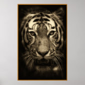 グローリングタイガー顔インセピアトーンズ ポスター (正面)