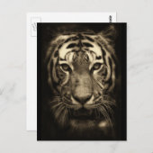 グローリングタイガー顔インセピアトーンズ ポストカード (正面/裏面)