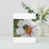 グローリービー ポストカード (スタンド正面)