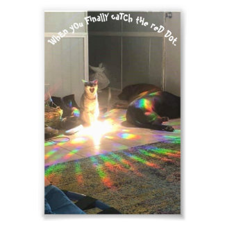 グローリー フォトプリント           