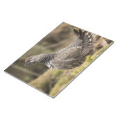 グロ誇りを持ったーズ ノートパッド (アングル)