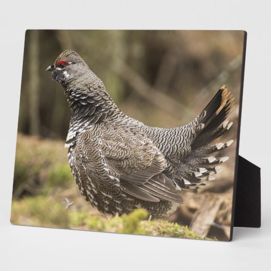 グロ誇りを持ったーズ フォトプラーク (側面)