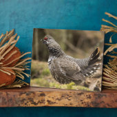 グロ誇りを持ったーズ フォトプラーク (側面)