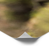 グロ誇りを持ったーズ ポスター (角)