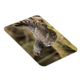 グロ誇りを持ったーズ マグネット (右側)