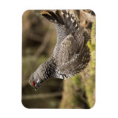 グロ誇りを持ったーズ マグネット (縦)