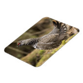 グロ誇りを持ったーズ マグネット (左側)