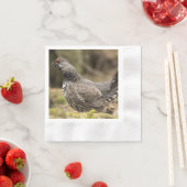 グロ誇りを持ったーズ 縁ありカクテルナプキン (インサイチュ)