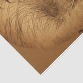 グンジーロスターズティッシュペーパー 薄葉紙 (詳細)