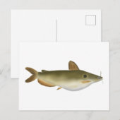 グンターのナマズ ポストカード (正面/裏面)