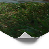 グージー ポスター (角)