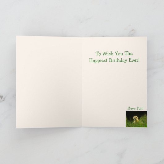 グースおもしろいジョーク誕生日カード カード (内部)