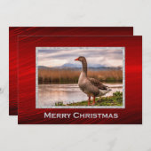 グースかわいらしランドスケープ写真クリスマスフラット シーズンカード (正面/裏面)