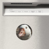 グースイ マグネット (インサイチュ (食洗機))