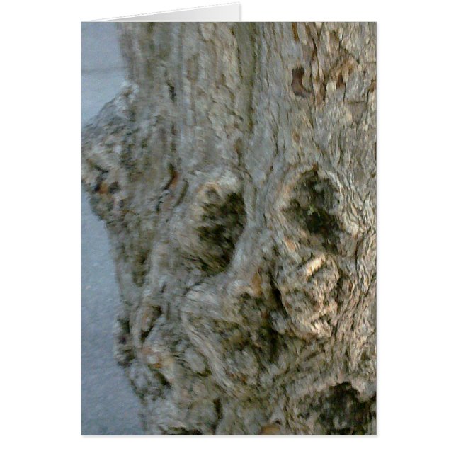 グースカルテバウムジェシヒト、ブランコ、ガストルトバー (正面)