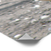 グースキのまわりにャナダグースプリント ポスター (角)