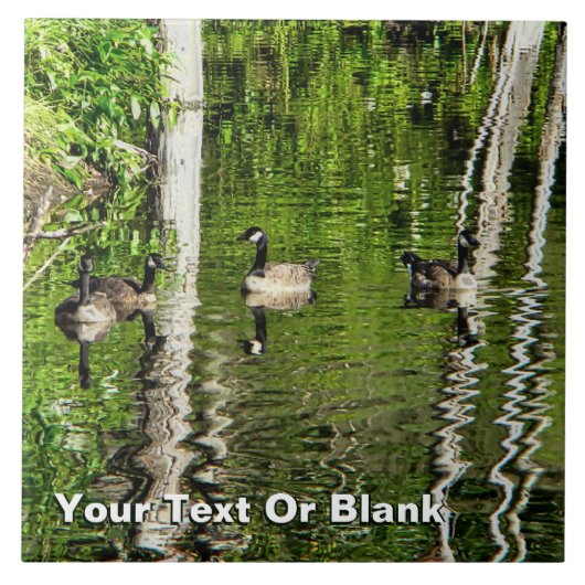 グースグリーン タイル (正面)