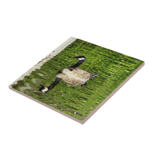 グースグリーン タイル (側面)