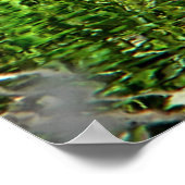 グースグリーン ポスター (角)