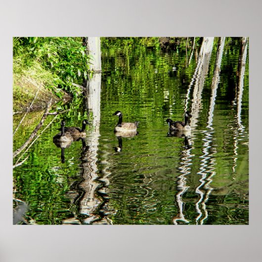 グースグリーン ポスター (正面)