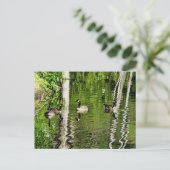 グースグリーン ポストカード (スタンド正面)