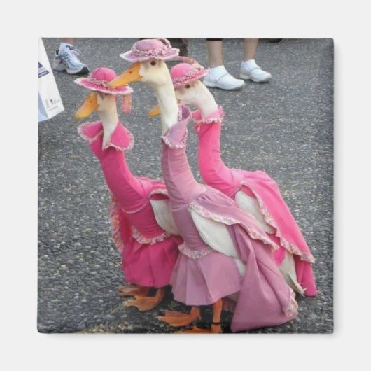 グースシスターマグネット マグネット (正面)