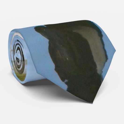 グースタイ ネクタイ (ロール)