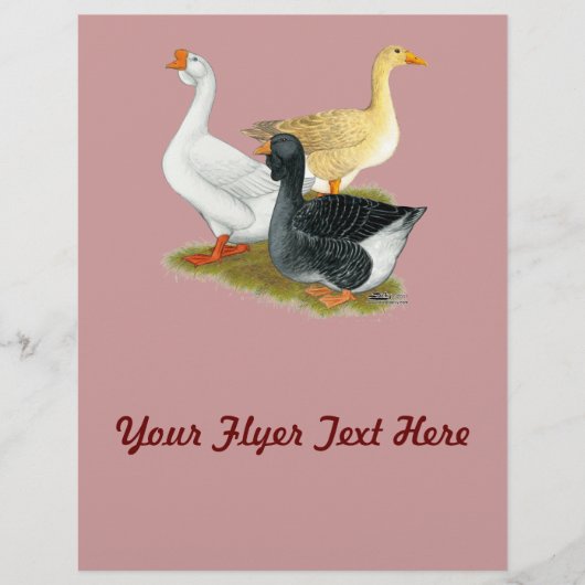 グーストリオ チラシ (正面)