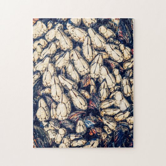 グースネックのバーナクルとムール貝、BCウェストコースト ジグソーパズル (縦)