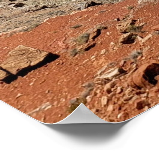 グースネック ポスター (角)