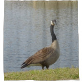 グースバイポンドシャワーカーテン シャワーカーテン (正面)