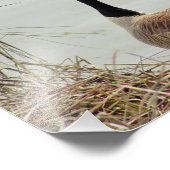 グースフォト フォトプリント            (角)