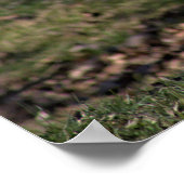 グースフォト ポスター (角)