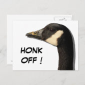 グースヘッドはがき ポストカード (正面/裏面)