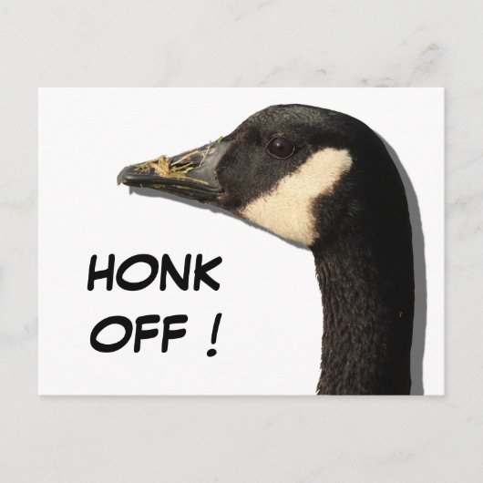 グースヘッドはがき ポストカード (正面)