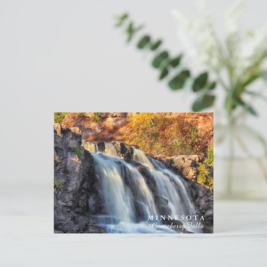 グースベリー滝ミネソタ ポストカード (スタンド正面)