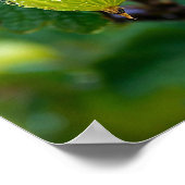 グースベリー自然 ポスター (角)