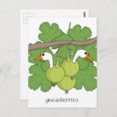 グースベリー ポストカード (正面/裏面)