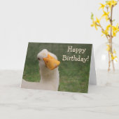 グースユーモアのある誕生日 カード (黄色い花)