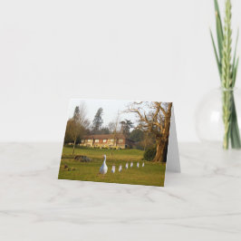 グースリングとグースリングの連日 カード