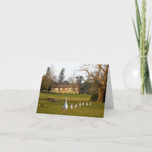 グースリングとグースリングの連日 カード (正面)