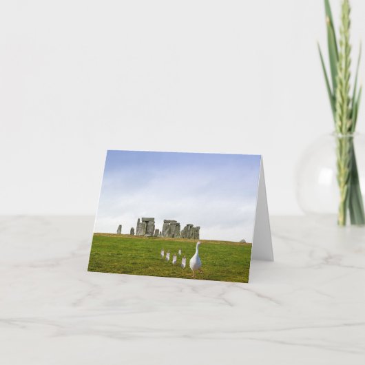 グースリングとグースリングの連日 カード (正面)