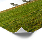 グースリングとグースリングの連日 ポスター (角)