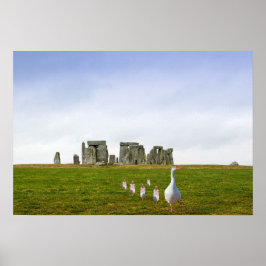 グースリングとグースリングの連日 ポスター