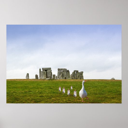 グースリングとグースリングの連日 ポスター (正面)