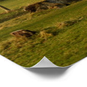 グースリングAPHカントリークラブ ポスター (角)