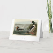 グースンダーAudubon's Birds カード (裏面)