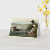 グースンダーAudubon's Birds カード (黄色い花)