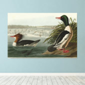 グースンダーAudubon's Birds キャンバスプリント (インサイチュ (ウッドフロア))