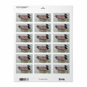 グース住所 シール (フルシート)